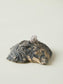 pack_shot-detail