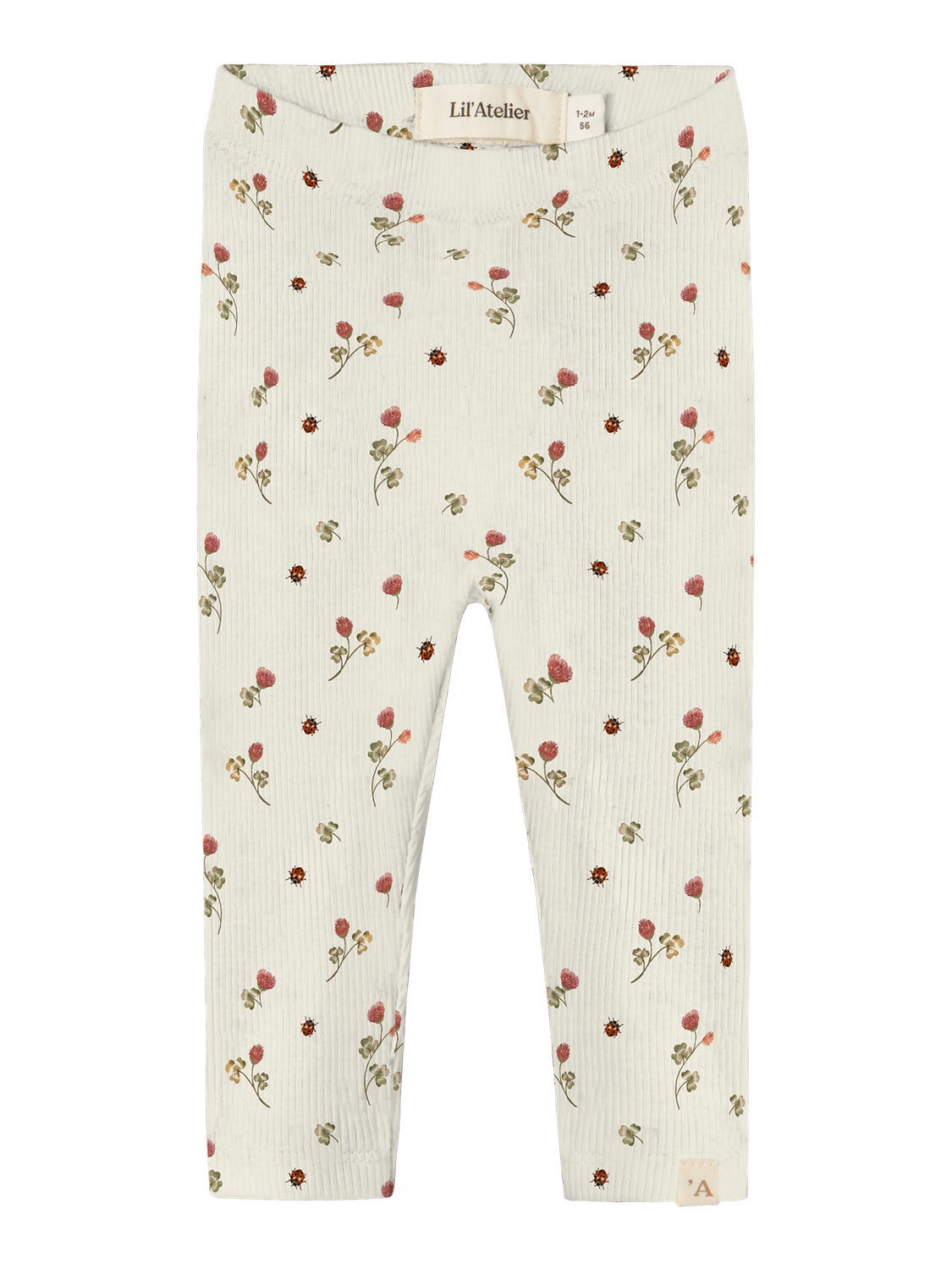 pack_shot-front